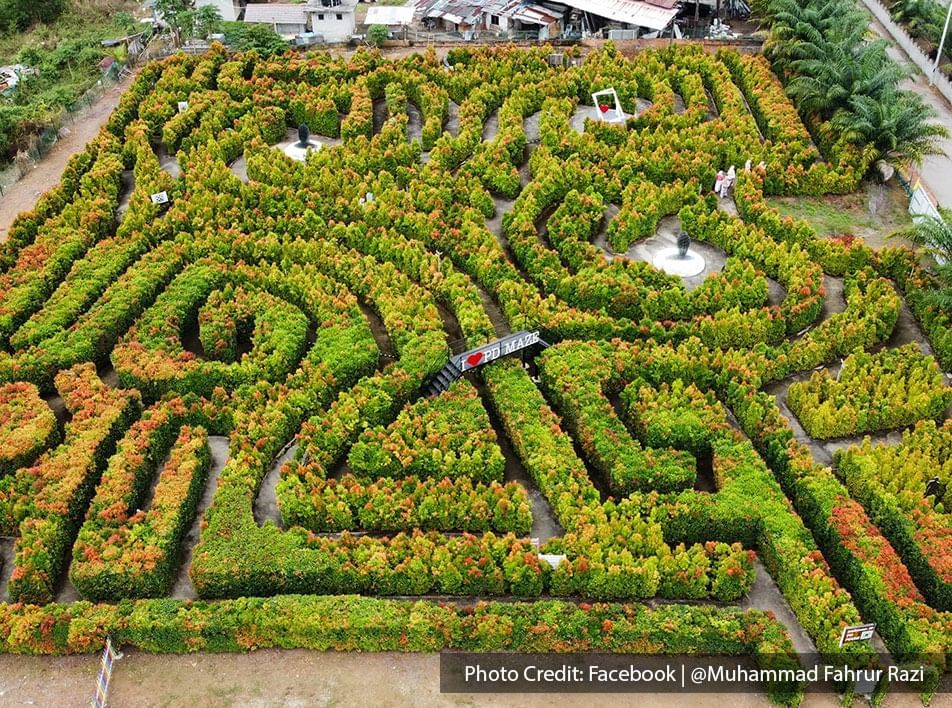 Enjoy this Maze to take amazing photos for your Instagram - Lexis Hibiscus PD