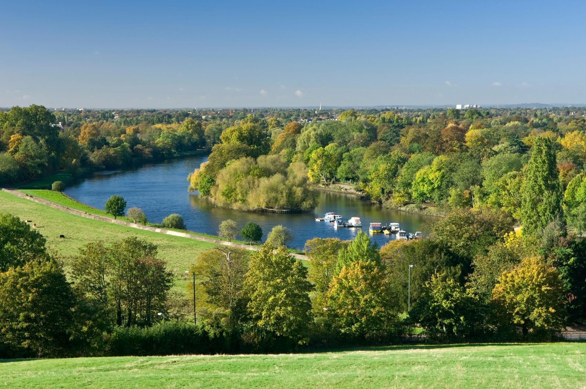 Landscape view of Petersham Meadows near Richmond Hill Hotel