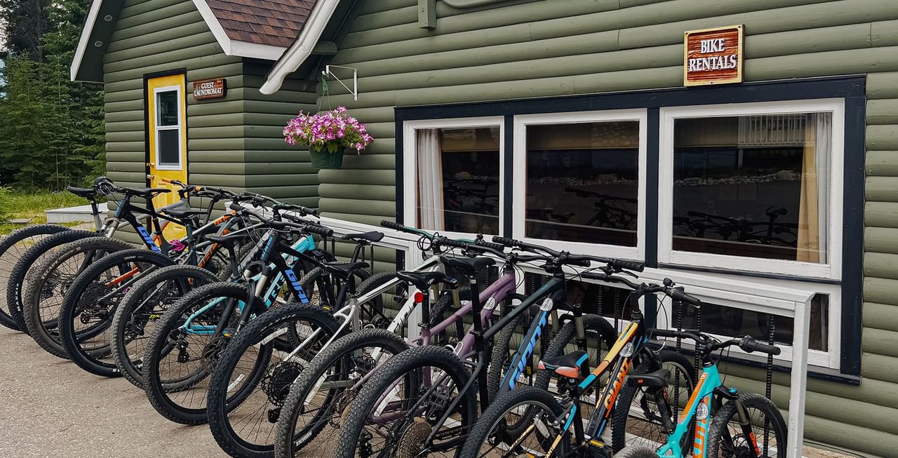 Tekarra Lodge Biking Rental