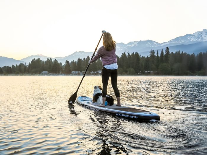 Woman and dog on paddle board, paddling on a lake in Whistler, BC.