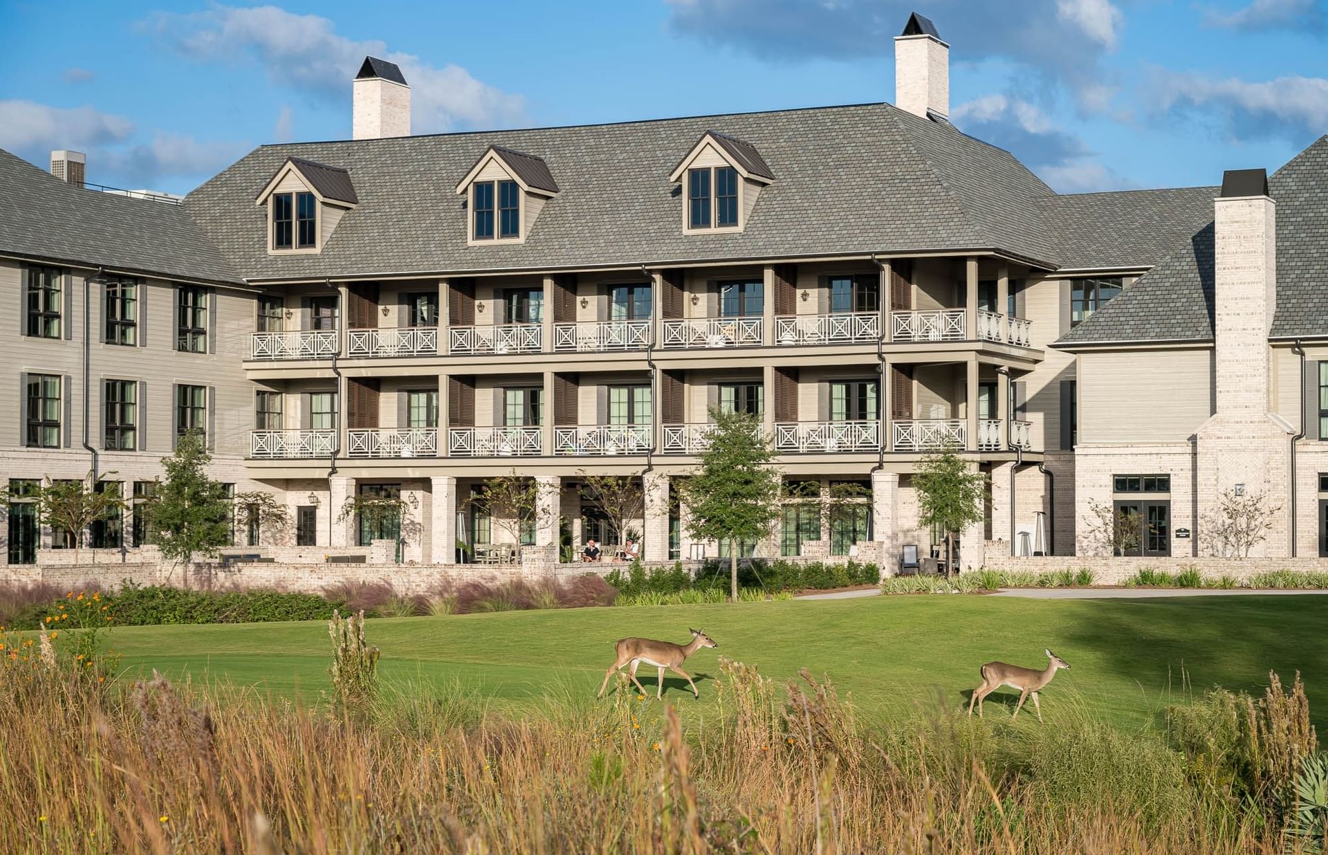 Two deer grazing on grass in front of a large hotel with multiple balconies and chimneys.