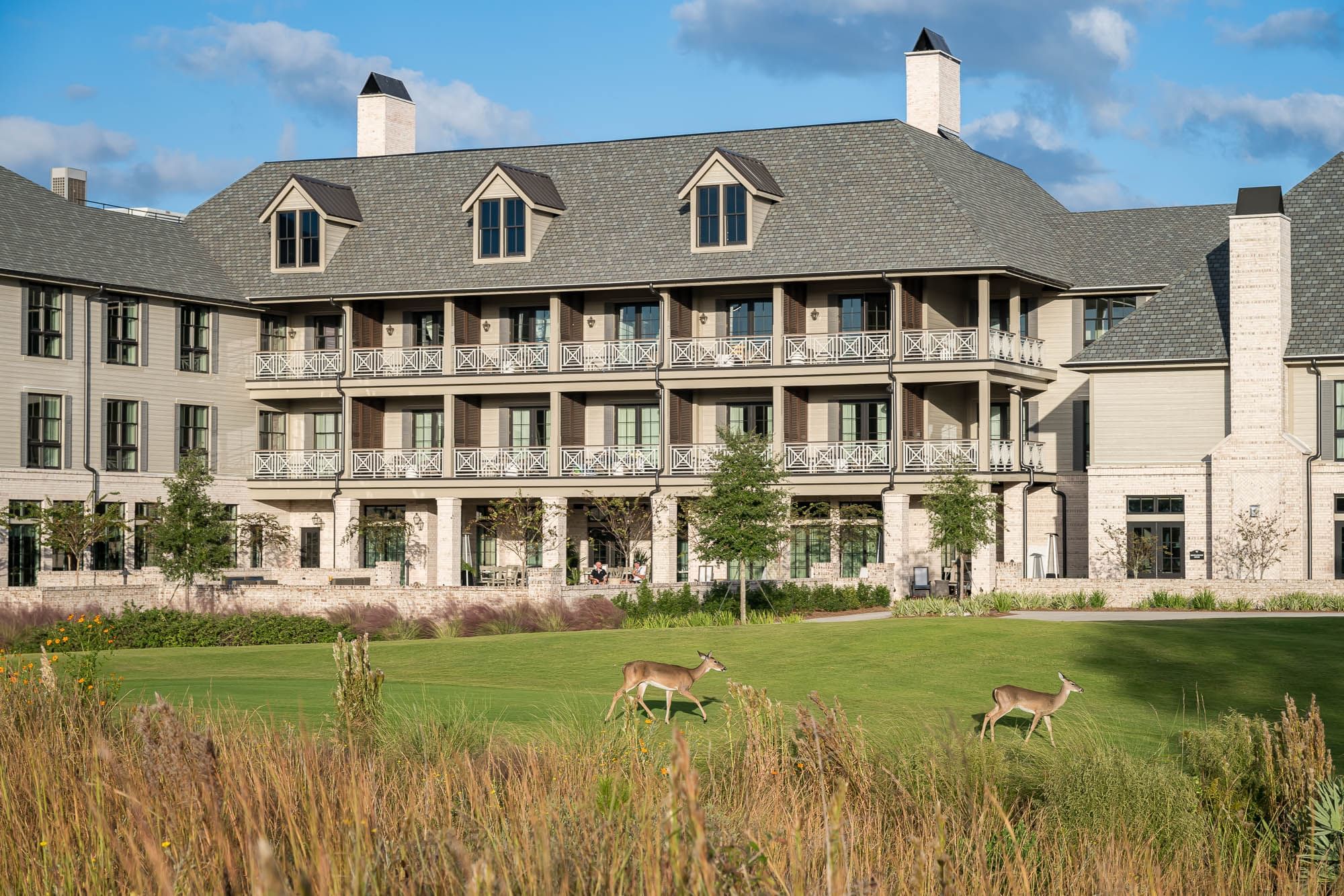 Deer enjoy a walk along the terrace lawn at Camp Creek Inn