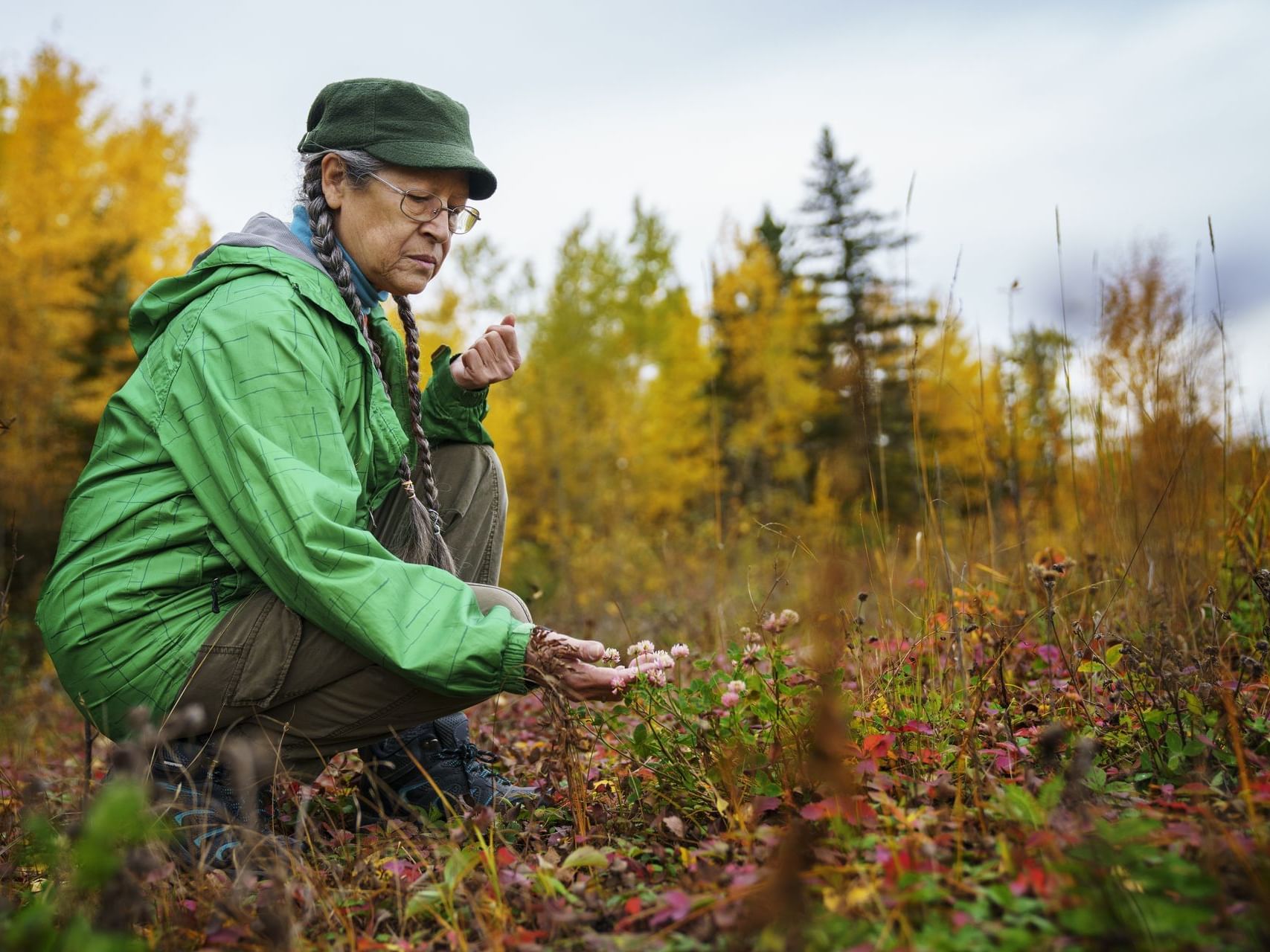 Woman crouching & gathering tiny plant in Wood Buffalo National Park near Merit Hotel & Suites
