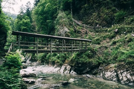 Wandern rund um das Schloss Pichlarn