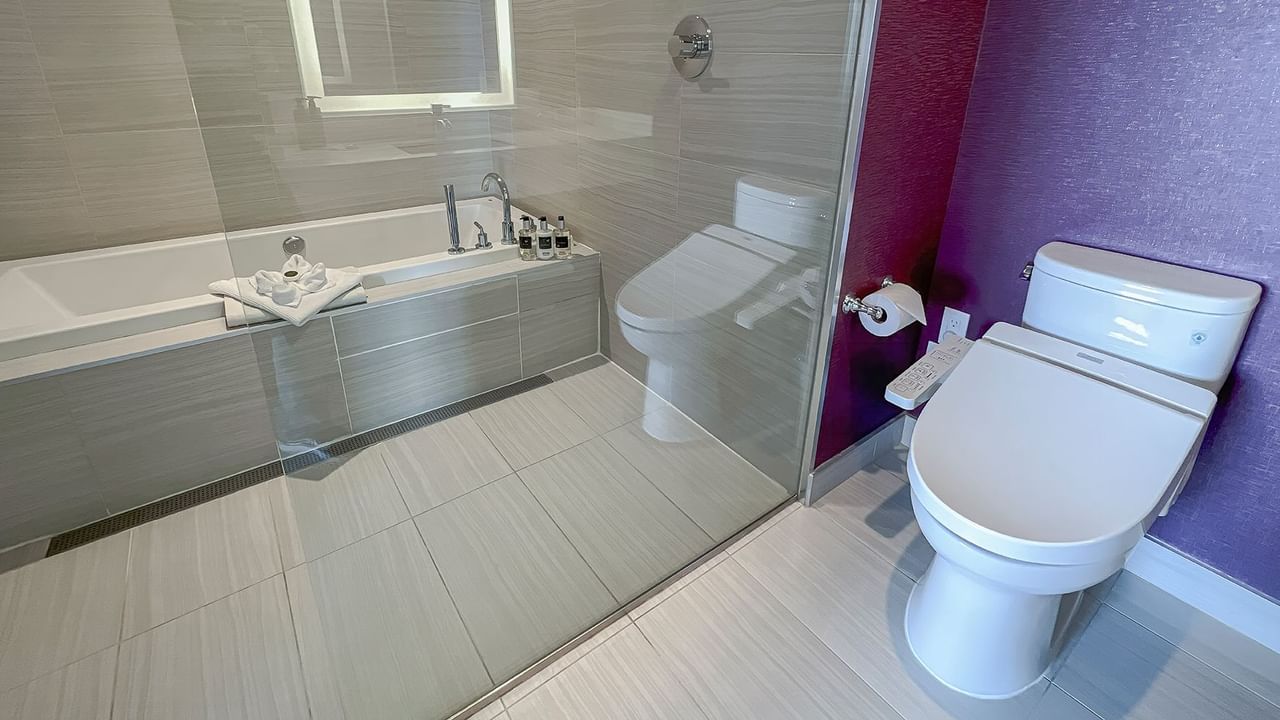 Washroom with toilet and bath tub