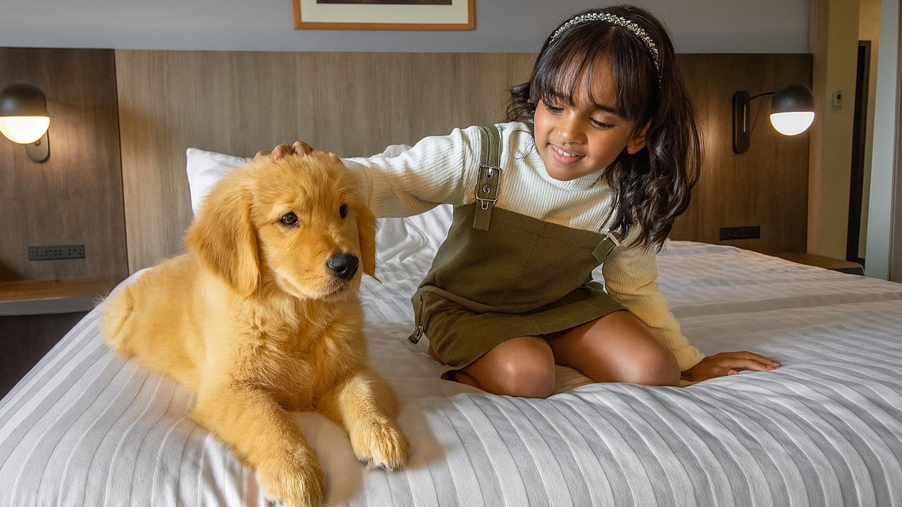 A young girl and a golden retriever puppy sit together on a bed in a hotel room.