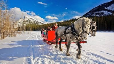 Horse-drawn sleigh traveling through snow, surrounded by mountains and trees near Blackstone Mountain Lodge