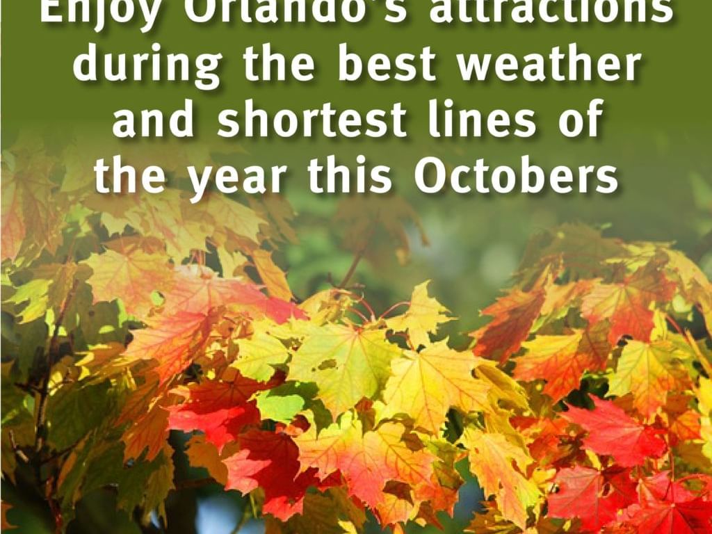 Enjoy Orlando's attractions poster used at Lake Buena Vista Resort Village & Spa