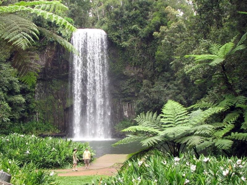 Millaa Falls near the Pullman Palm Cove Sea Temple Resort & Spa