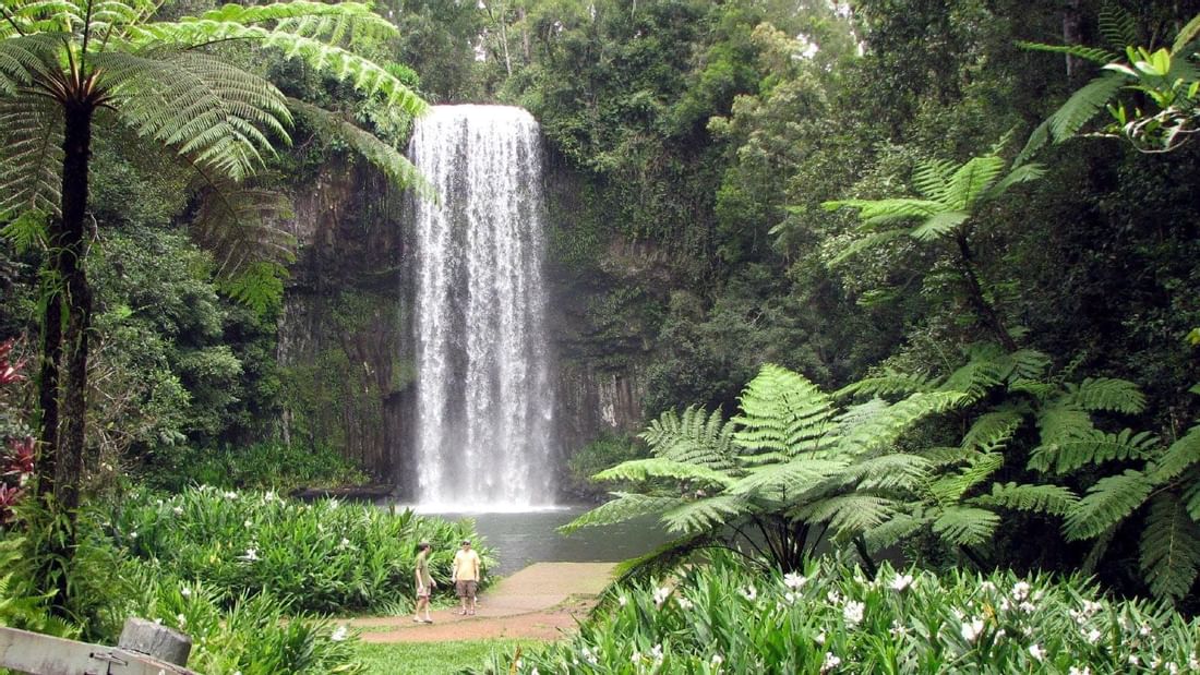 Millaa Falls near the Pullman Palm Cove Sea Temple Resort & Spa