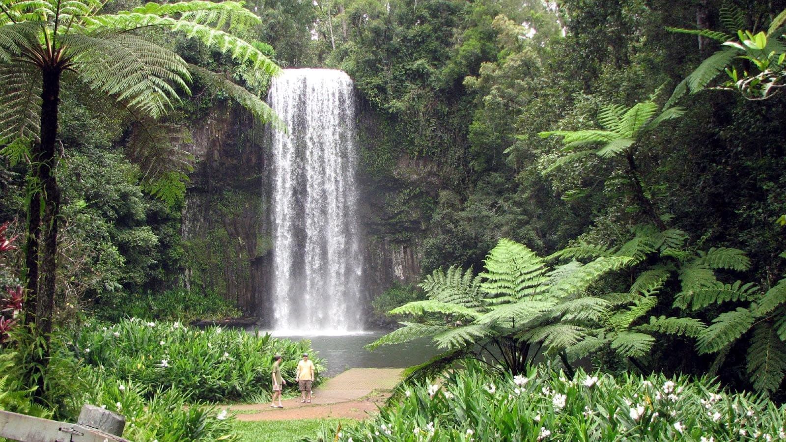 Millaa Falls near the Pullman Palm Cove Sea Temple Resort & Spa
