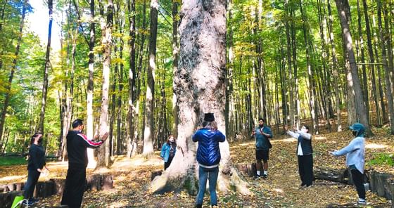 People in healing chakra formation near Honor's Haven Retreat