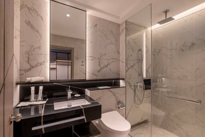 Executive Room Toilet