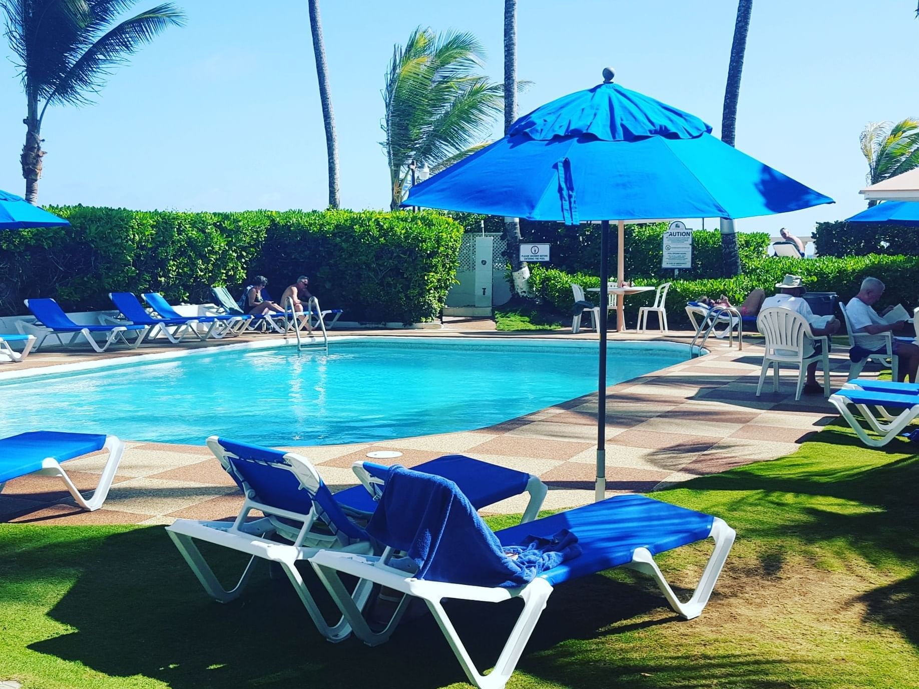 Sunbeds & palm trees by the outdoor pool area at Dover Beach Hotel