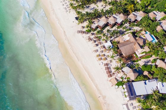 Aerial view of the white sand beach, turquoise sea, and thatched-roof villas at La Zebra Hotel