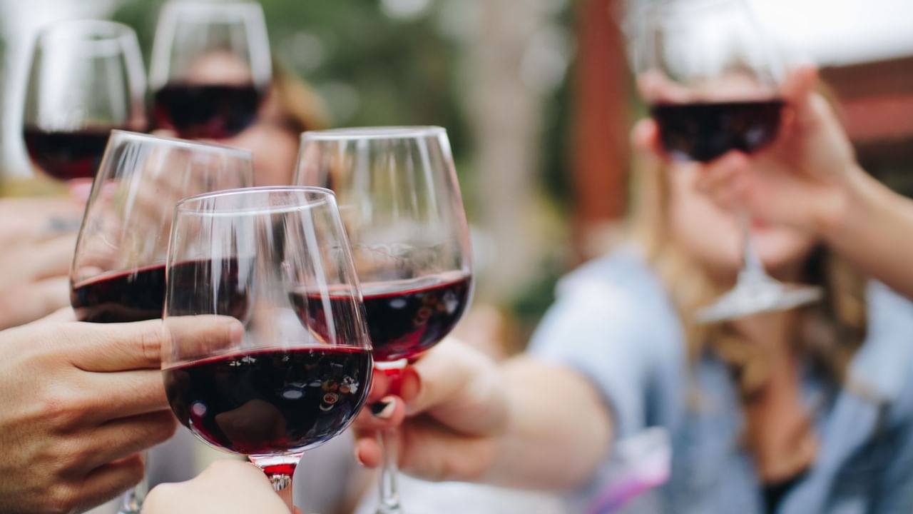 People cheersing with glasses of wine