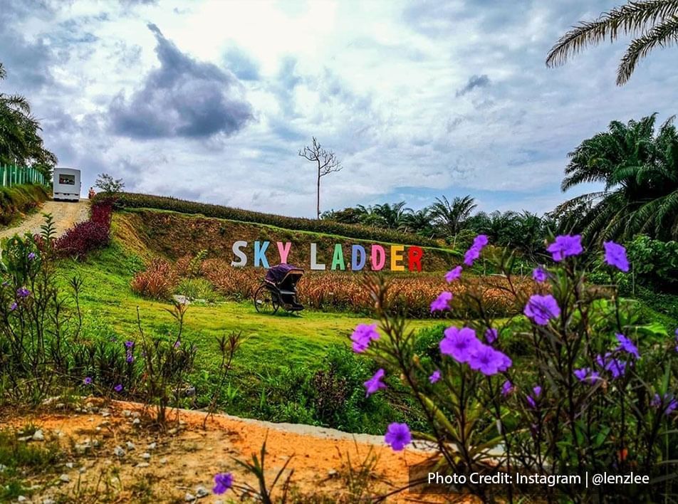 sky ladder pineapple farm port dickson