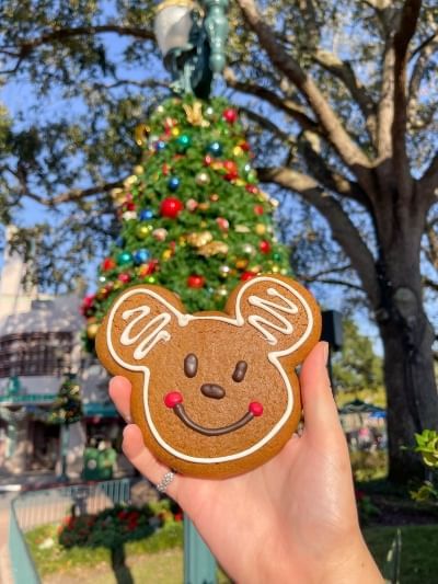 Celebrate the holiday season with a variety of tasty holiday cookies during the EPCOT Holiday Cookie Stroll 2024.