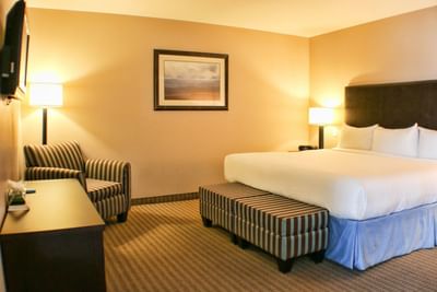 Guest bed with chair