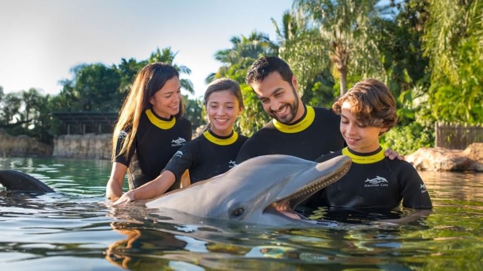 Discovery Cove near Legacy Vacation Resorts