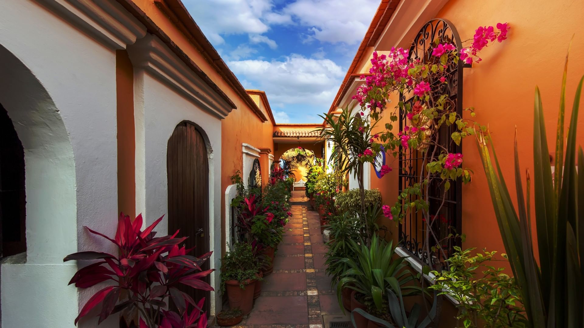 Narrow courtyard with vibrant flowers and plants lining the path at the Historic Center of Oaxaca near Quinta Real Oaxaca