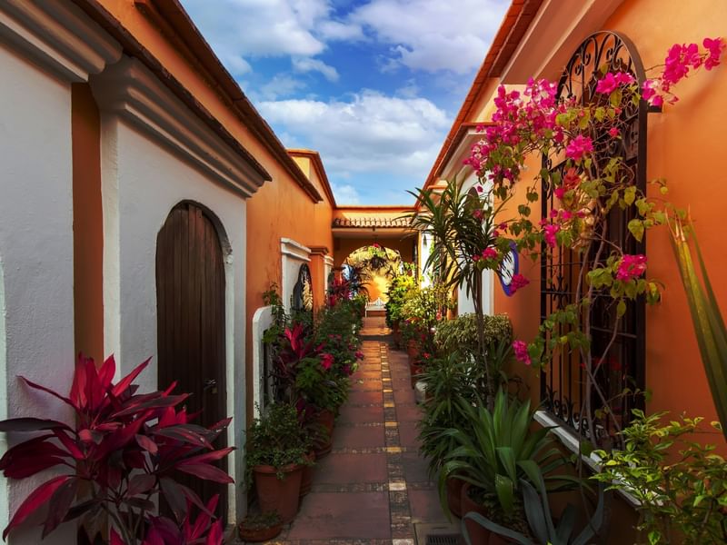 Centro Histórico de Oaxaca