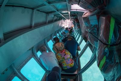 Semi Submersible Boat Tour near Heron Island Resort