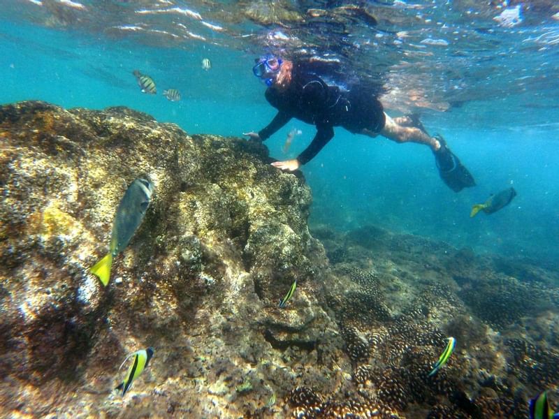 Un buzo explorando corales cerca de Grand Fiesta Americana