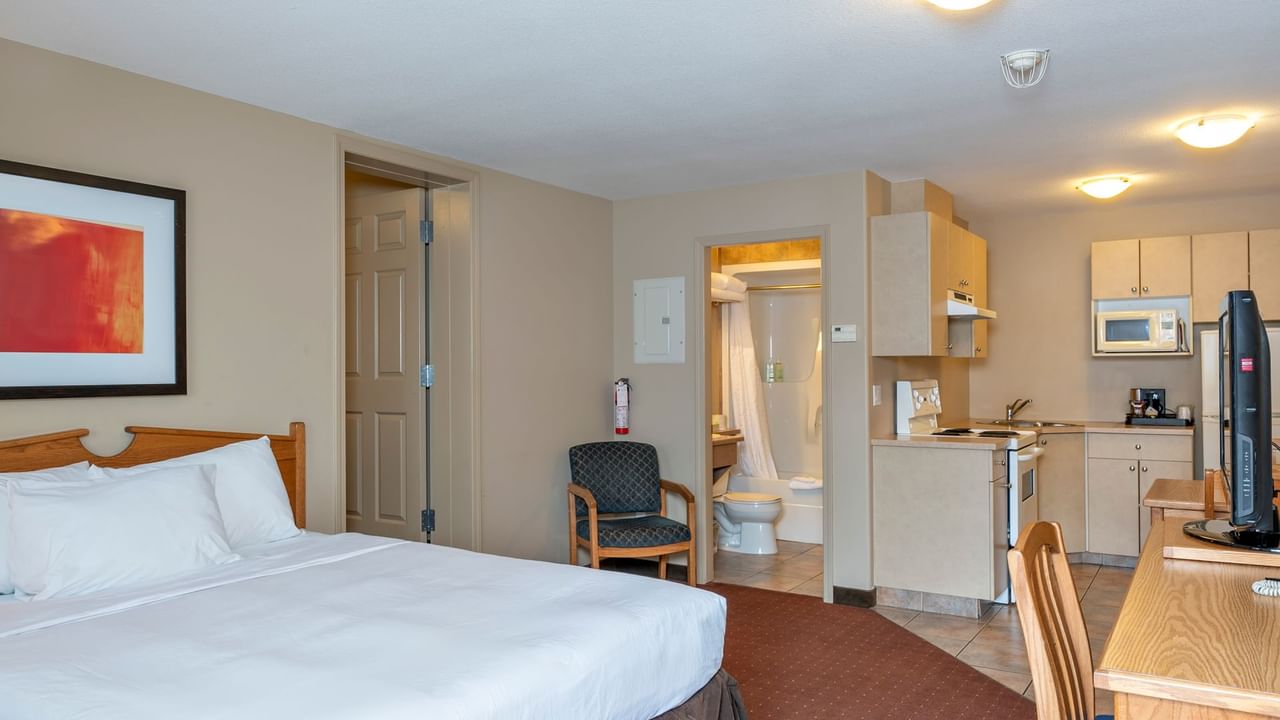 bed, kitchen, work desk in our Coast Two Queens Pet Friendly room