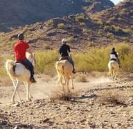 Group horseback riding in the desert