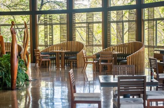 Dining & lounge area with a forest view at Hotel Rio Perdido