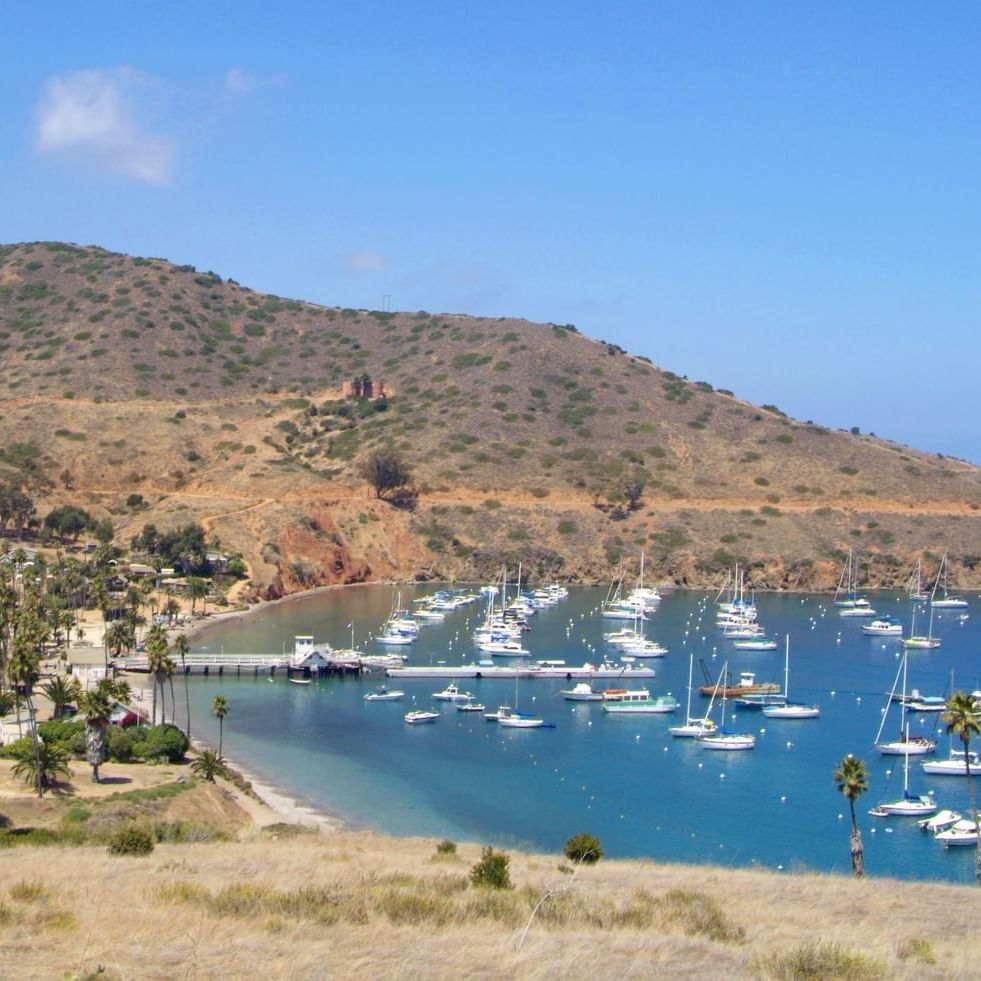 Two Harbors Catalina Island
