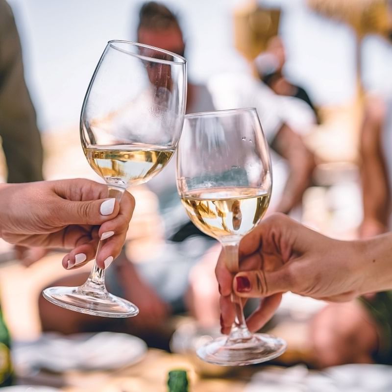 Close-up of 2 ladies toasting wine at South Beach Hotel