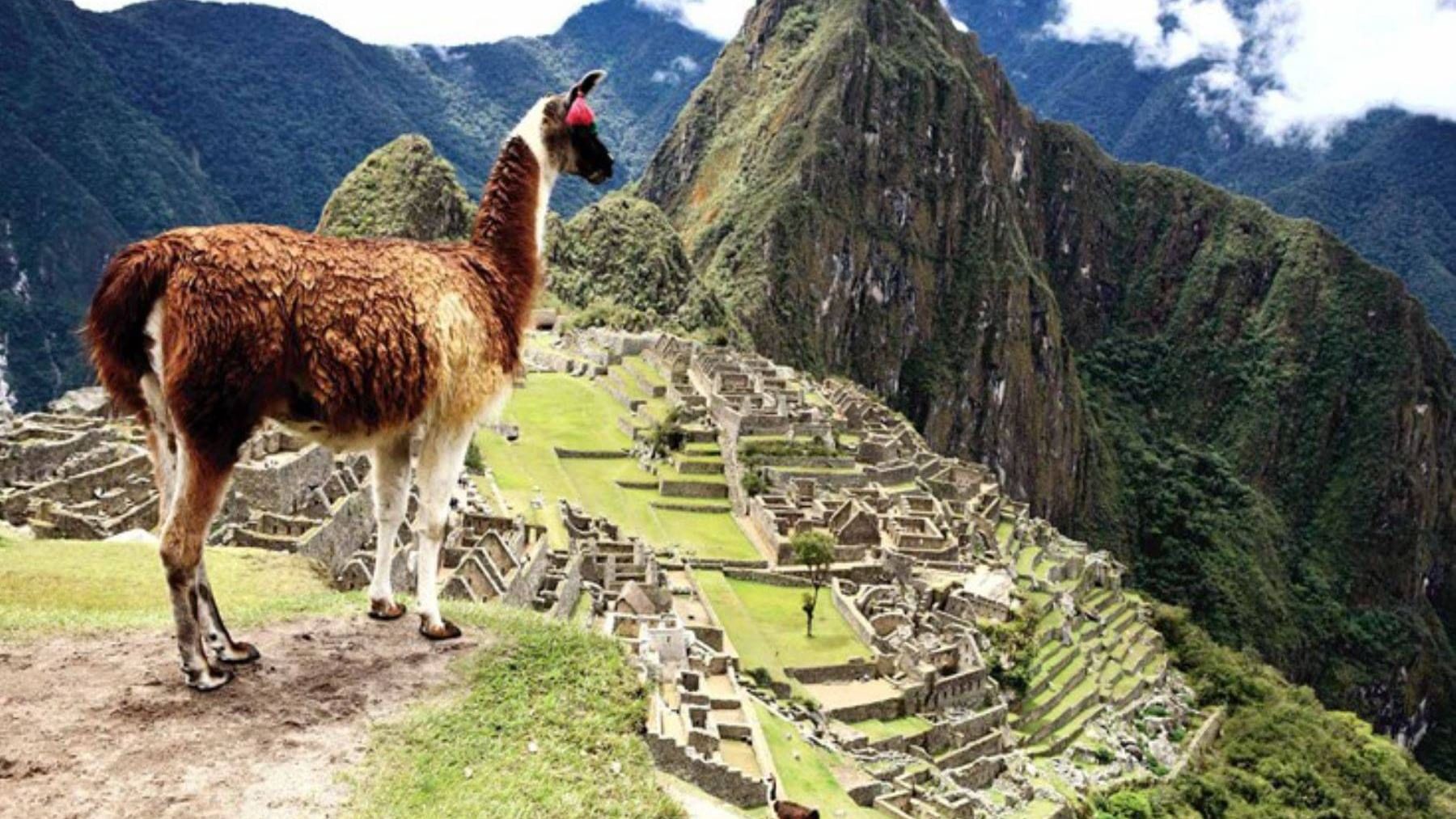 flora y fauna de Machu Picchu Perú