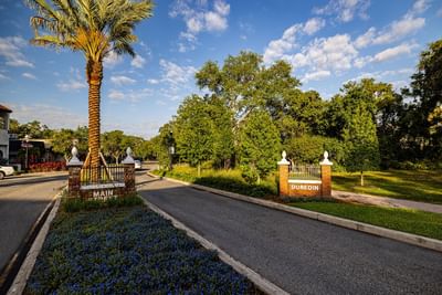 Welcoming view of Dunedin's entrance featuring palm trees, vibrant flowerbeds, and a Main Street sign near The J Hotel