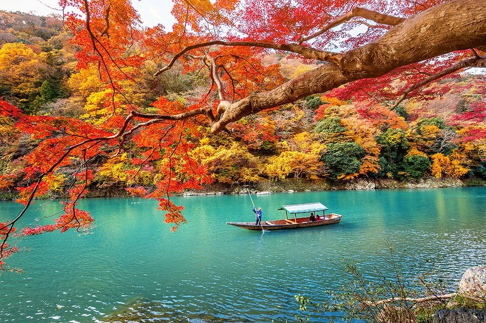 印象派風 秋の自然風景画 印象派風 秋の自然風景画 秋の絵 自然 風景 印象派 木 油畫 原作