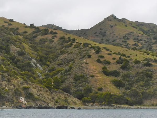 Scenic view of Ripper's Cove featuring a mountain and lush green trees near Catalina Island luxury hotels