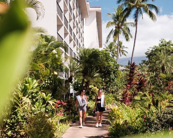 Two people walking on a pathway surrounded by tropical plants and palm trees, with a large white hotel building in the background.