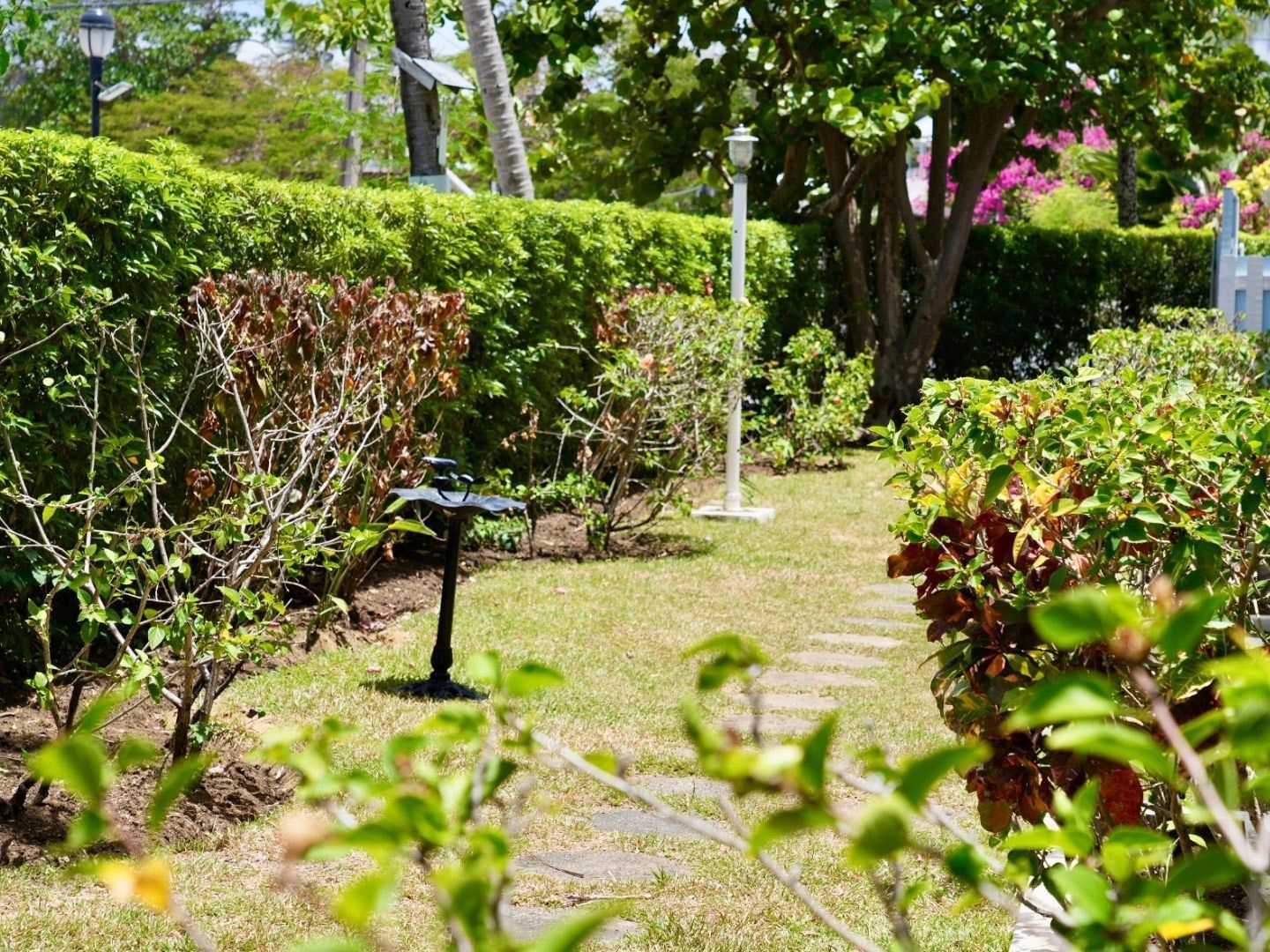 Exterior Time Out Hotel Barbados (8)