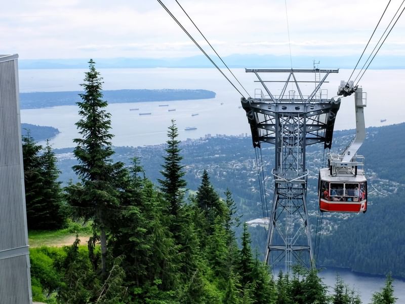 Grouse Mountain 