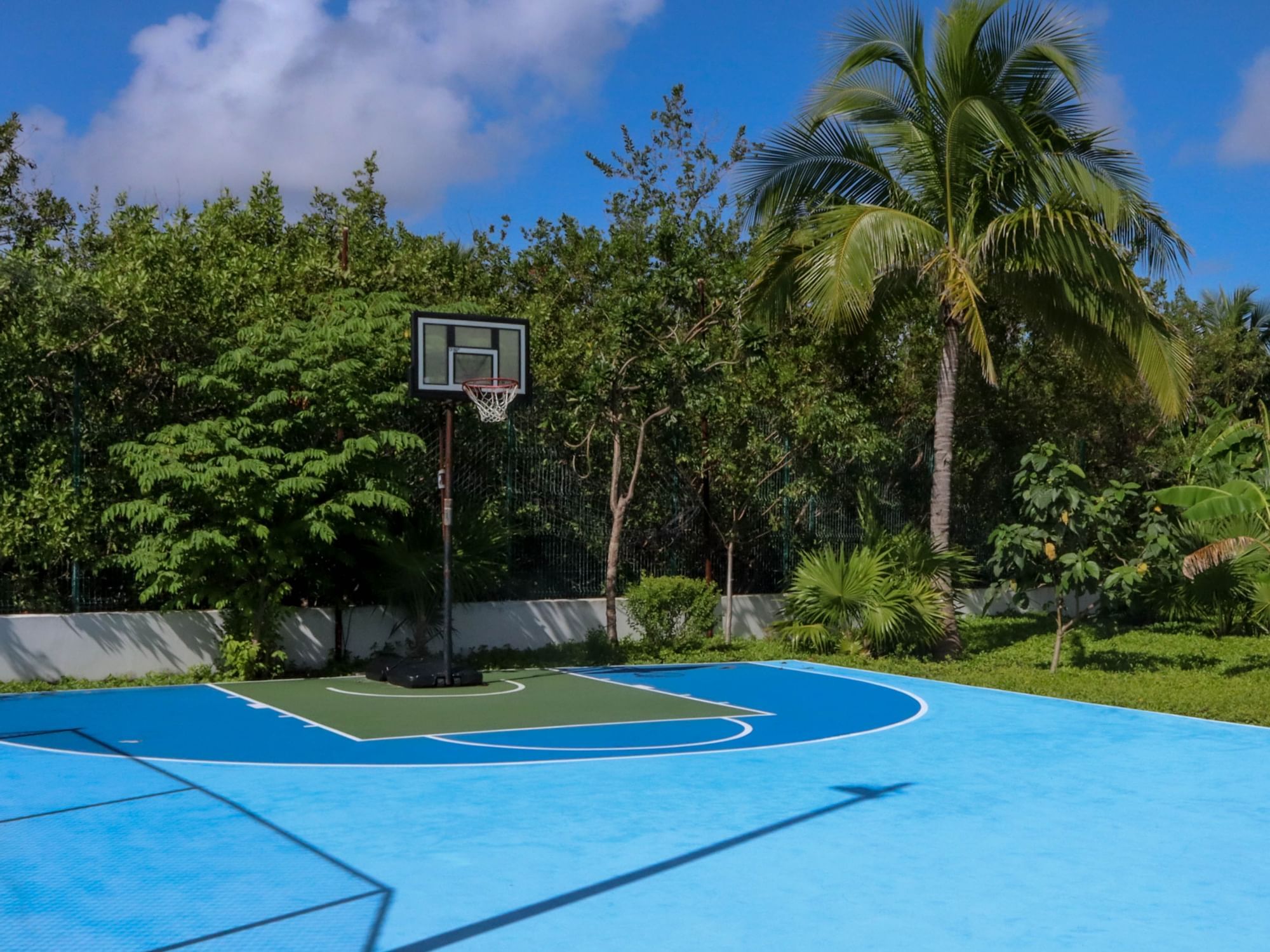 Close up on the basketball court at Haven Riviera Cancun