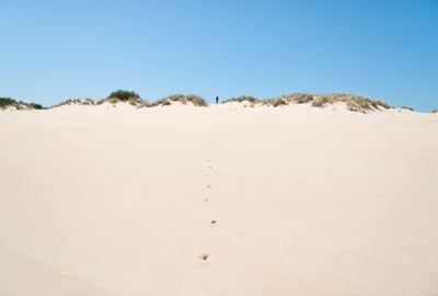 Sandy desert at Strahan Village near the Gordon River Cruise