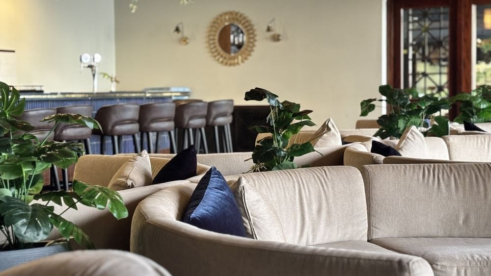 Curved sofas with blue cushions by green plants under bamboo lights in Hibiscus Lounge at Warwick Fiji Resort and Spa