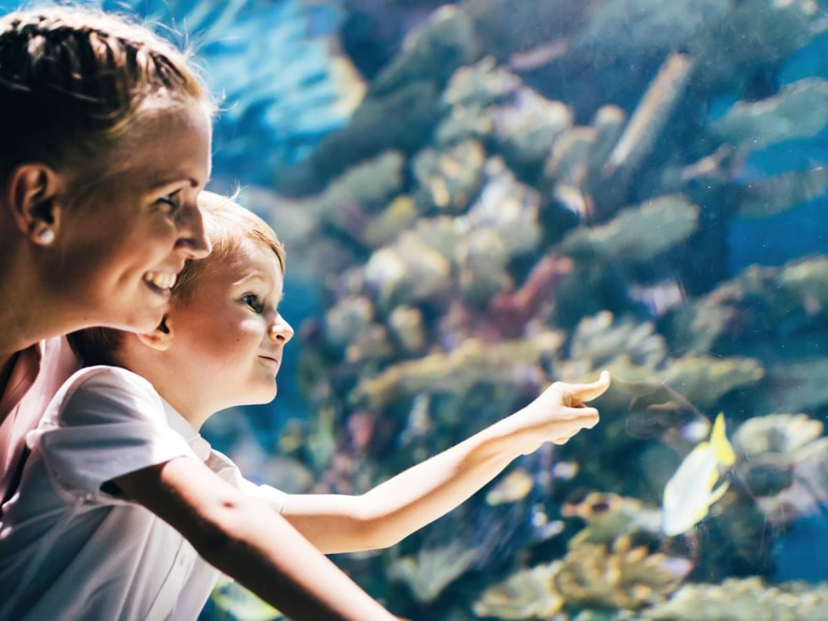 Mother & son looking through an Aquarium near Fiesta Inn Hotels
