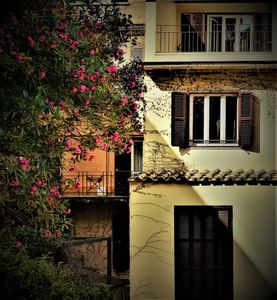 A building with a bunch of flowers growing on the side of it near Rome Luxury Suites