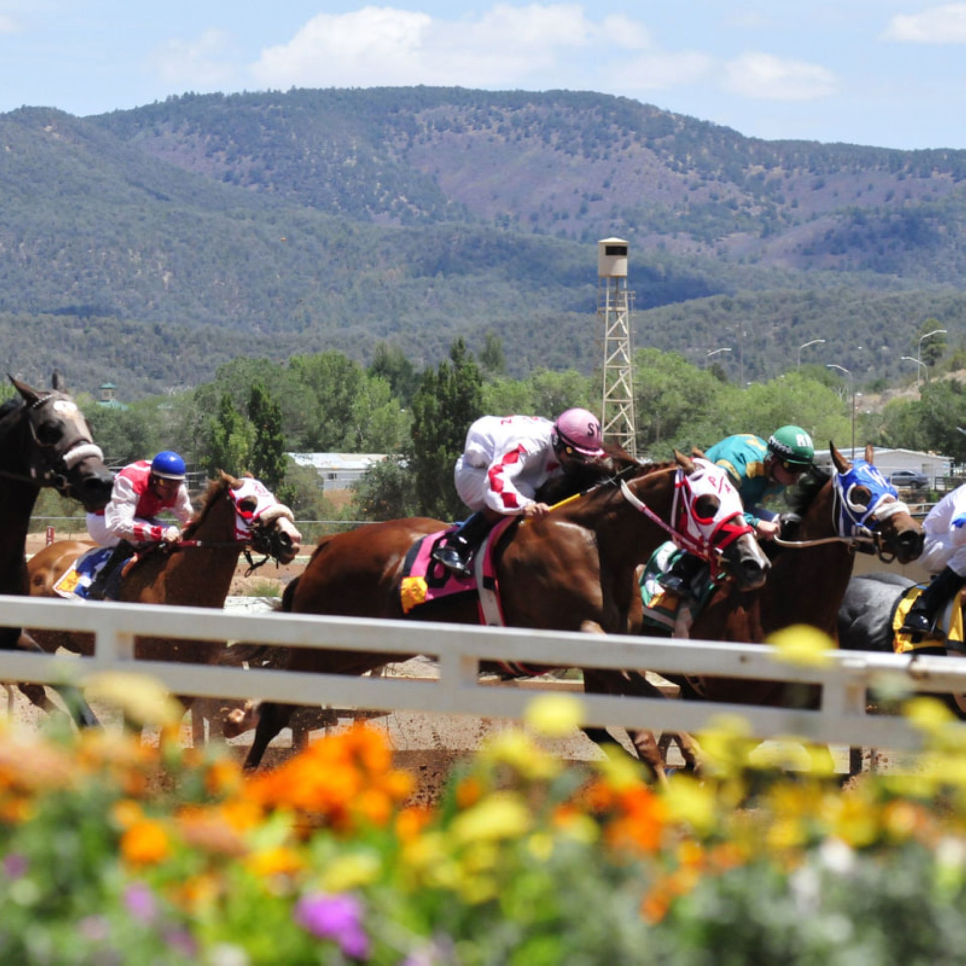 Ruidoso Downs Racetrack MCM Elegante Ruidoso   Ruidoso Downs Opt Standard 