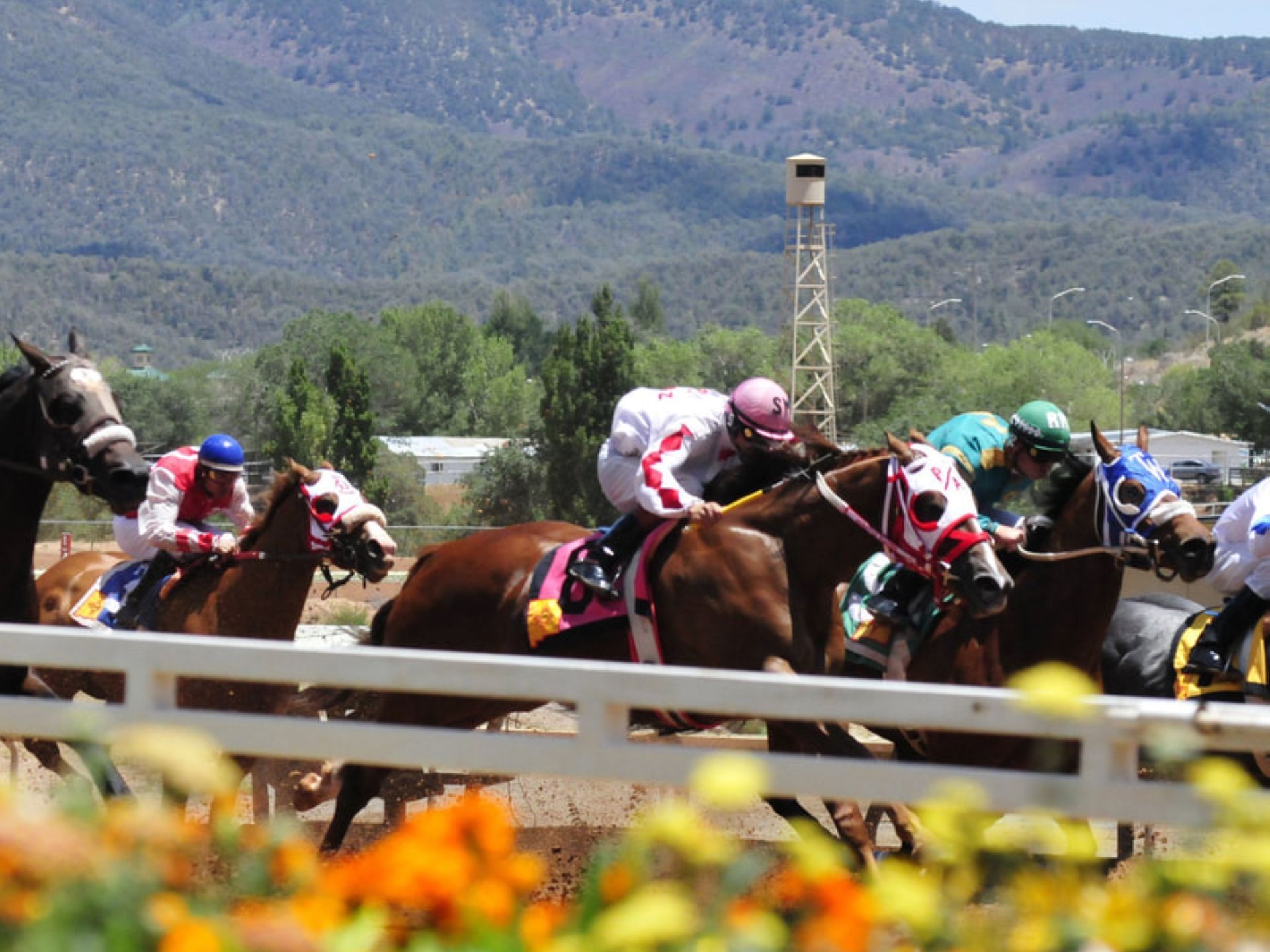 Ruidoso Downs Racetrack near Elegante Lodge & Resort