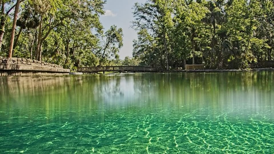 Lake of Wekiwa Springs State Park near Legacy Vacation Resorts