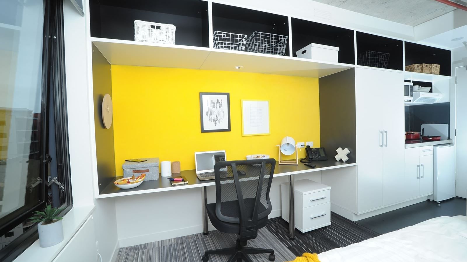 Whitaker_Studio Apartment