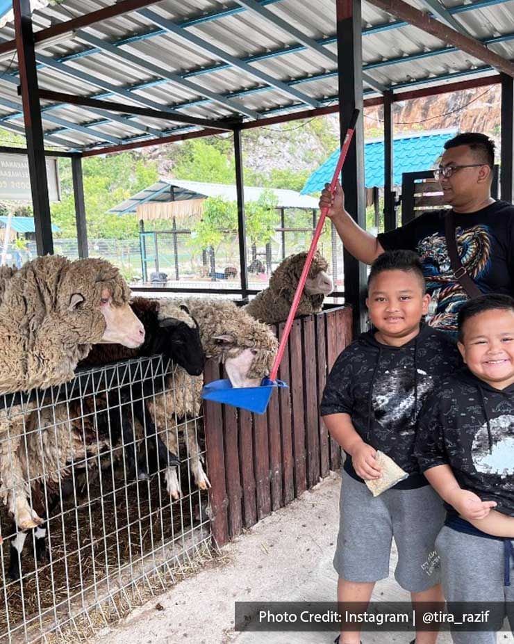 Children were taking a picture with a Merino sheep at Pavilion Petting Zoo - Lexis Suites Penang